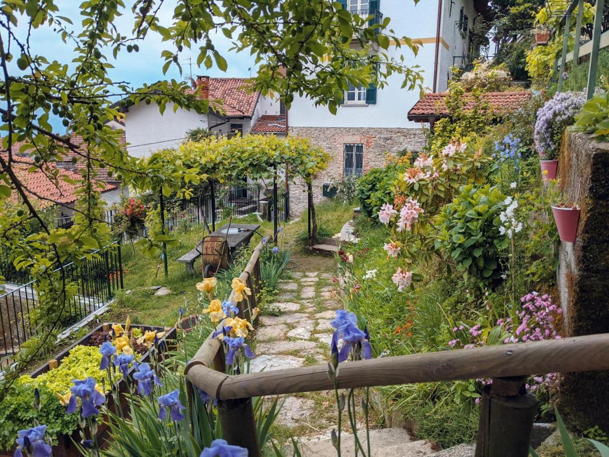 Ratto Del Gallo Stresa Exteriér fotografie
